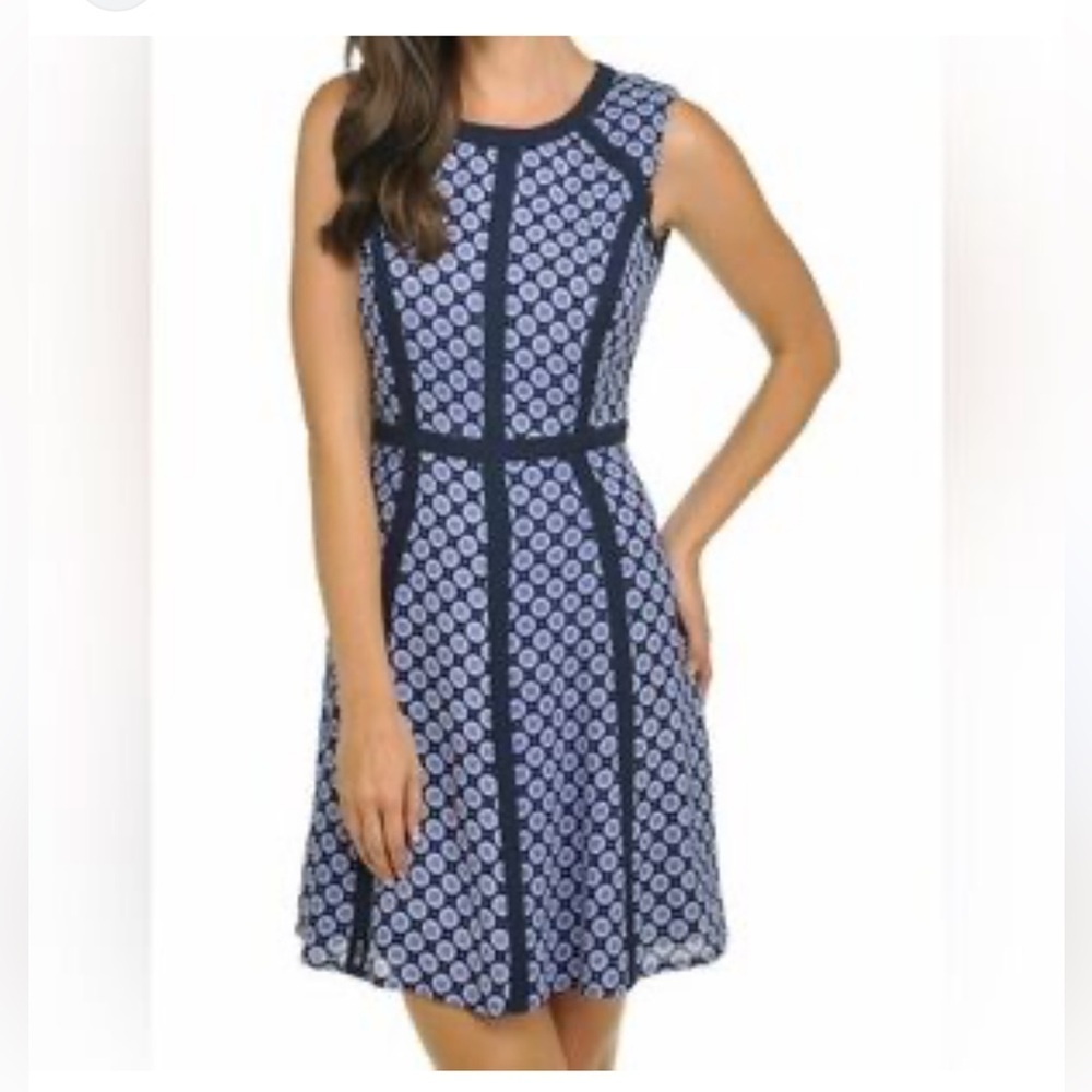 Bianca Nygard Flattering Lines Dress
